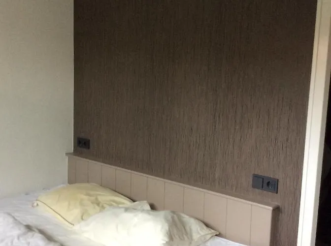 Paradise * Dirkshorn