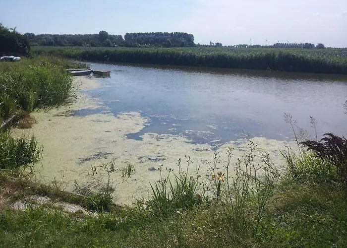 Paradise * Dirkshorn